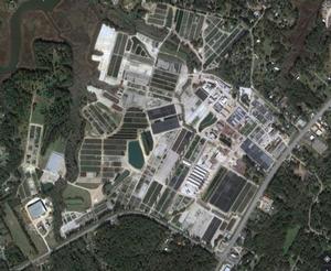 Flowerwood - Mobile, AL