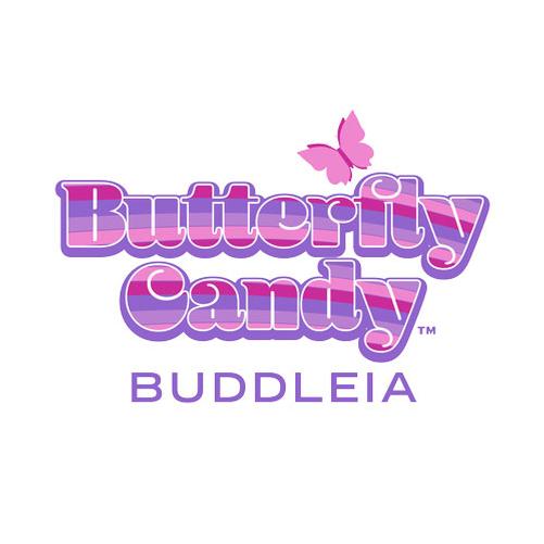 Butterfly Candy® Butterfly Candy®